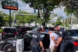 Fanático de los Dolphins arrestado tras pelea en Twin Peaks de Doral