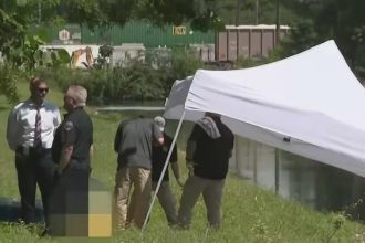 Mujer desaparecida en Doral: hallan cuerpo en canal cercano