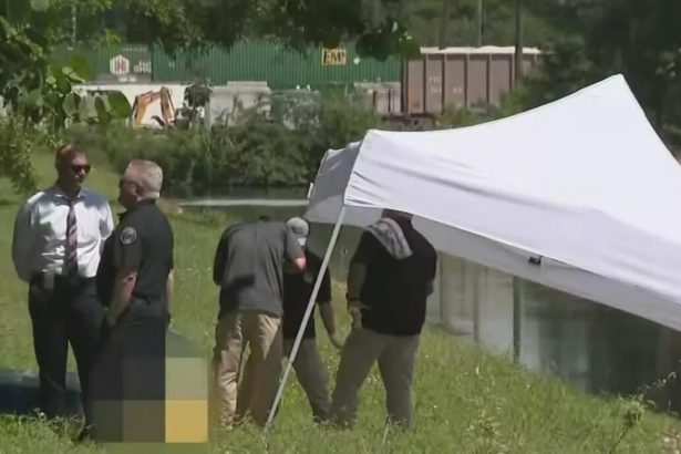 Mujer desaparecida en Doral: hallan cuerpo en canal cercano